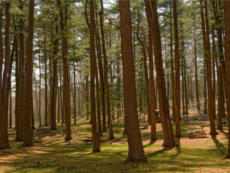 sudoku valid solution screenshot 2