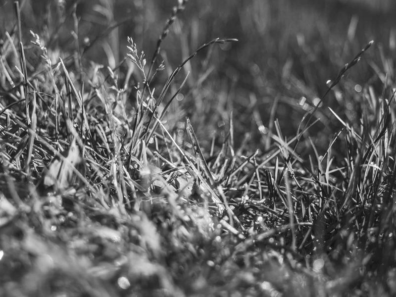 sudoku skill improvement screenshot 6